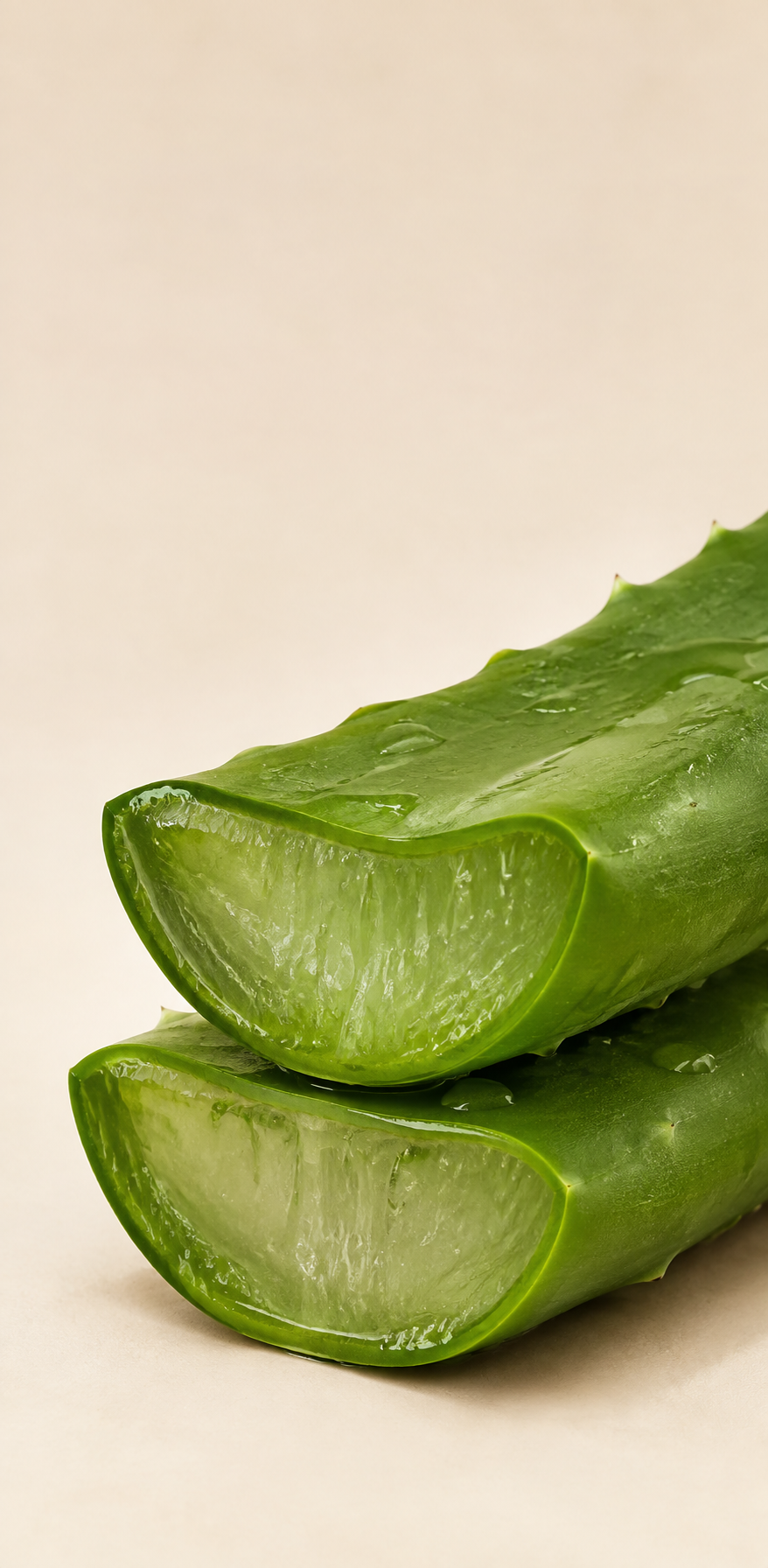 Sliced aloe vera leaf